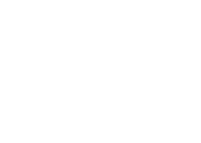Lid van het Nederlands Instituut van Psychologen (NIP)